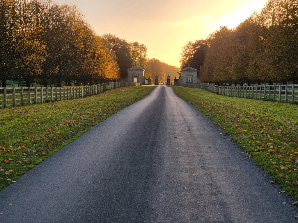 Tree-lined drive toward the Newby Hall gates near Skelton-on-Ure
